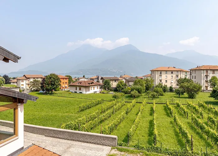 La Terrazza Del Nonno Feriehus Dongo